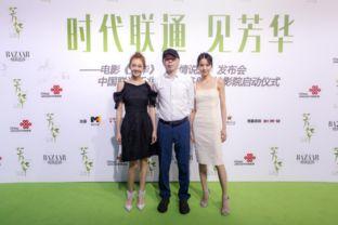 芳华战争故事背景,战火中的青春岁月